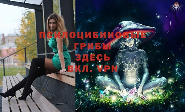 apvp Алзамай