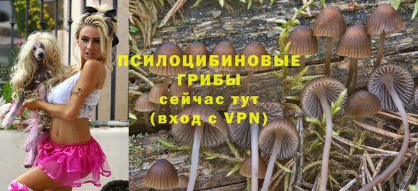 хмурый Няндома