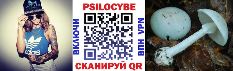 Галлюциногенные грибы Magic Shrooms наркота Минусинск
